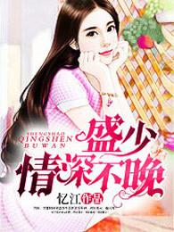 盛少,情深不晚 盛少,情深不晚